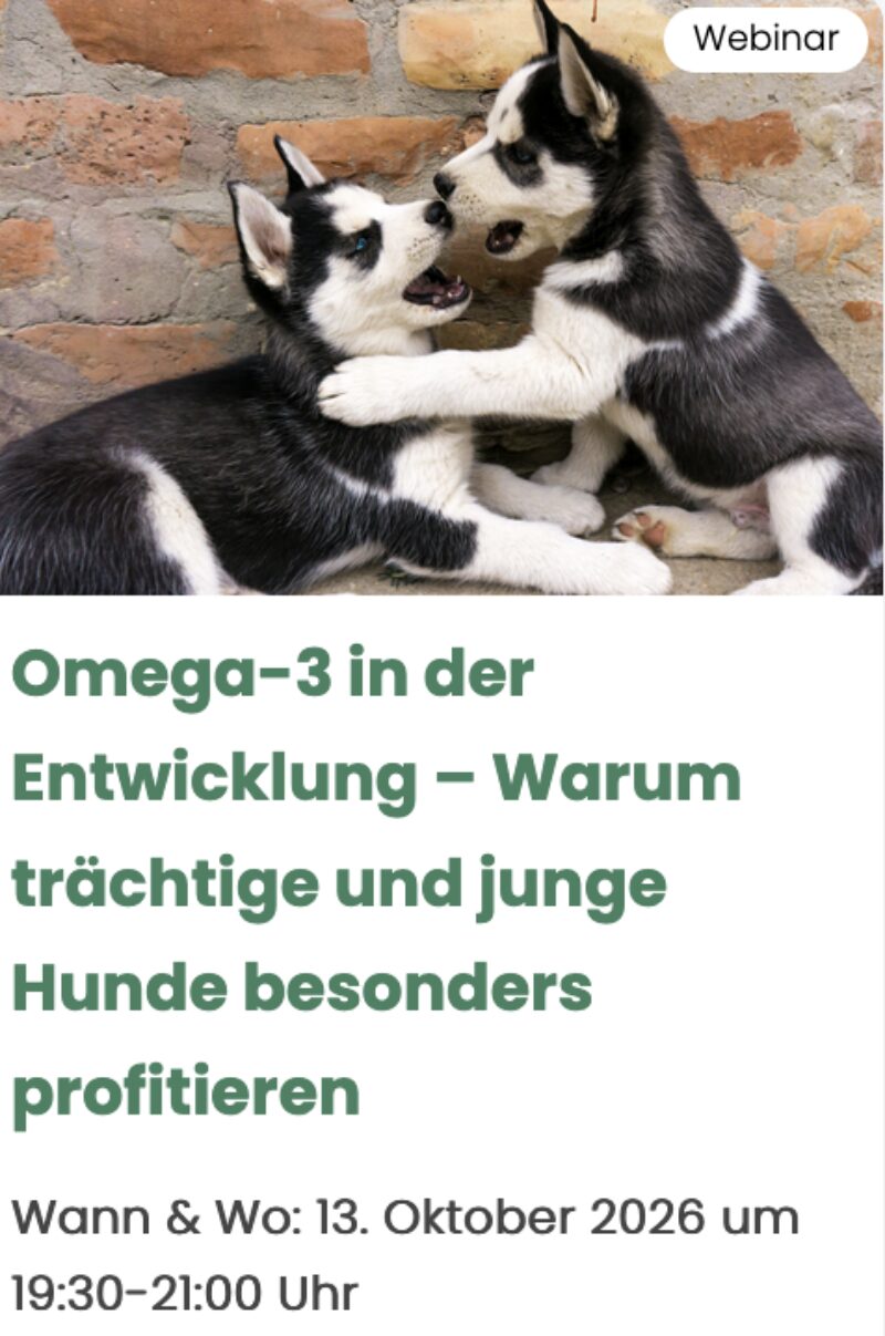 Bildschirmfoto 2026 02 04 um 15 33 18