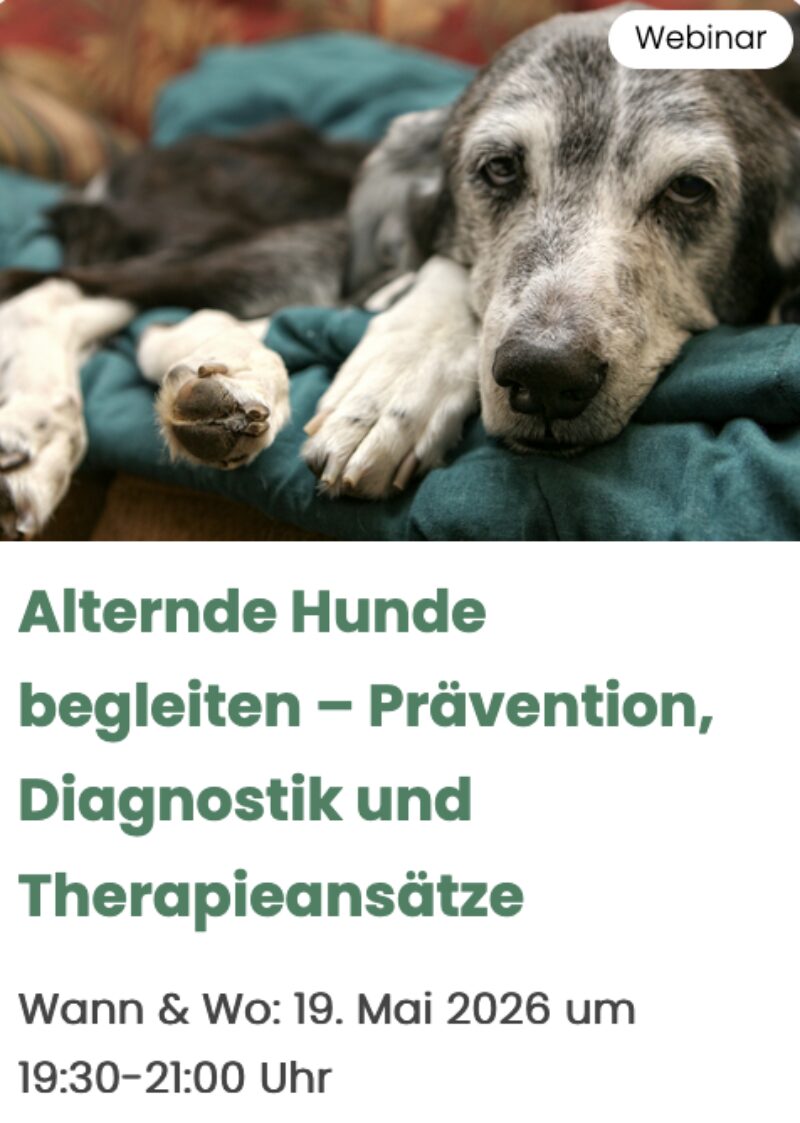 Bildschirmfoto 2026 02 04 um 15 33 31