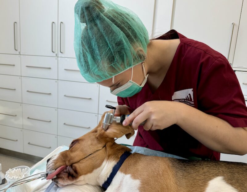 Bildschirmfoto 2026 02 05 um 17 38 46