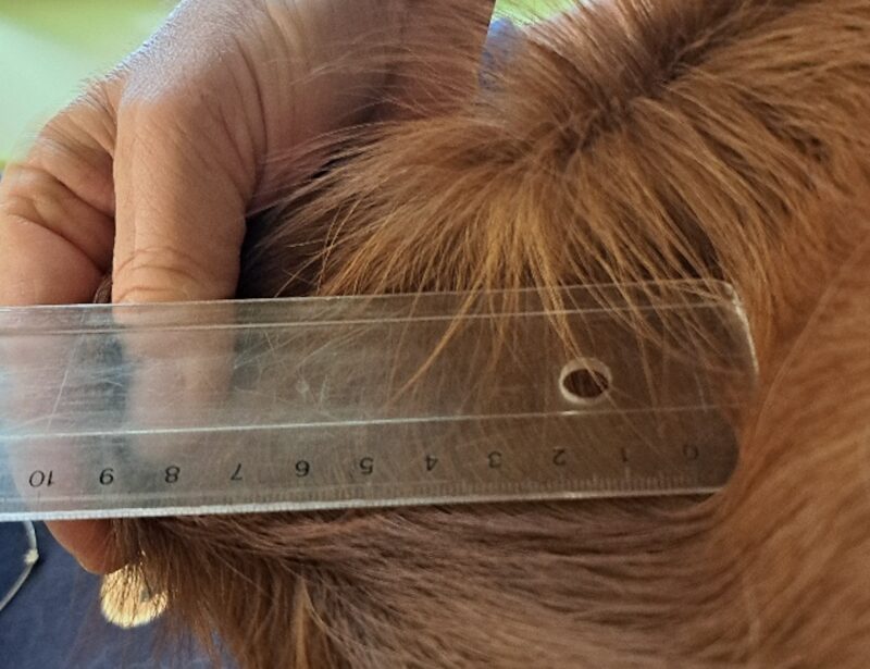 Bildschirmfoto 2026 02 06 um 15 18 53