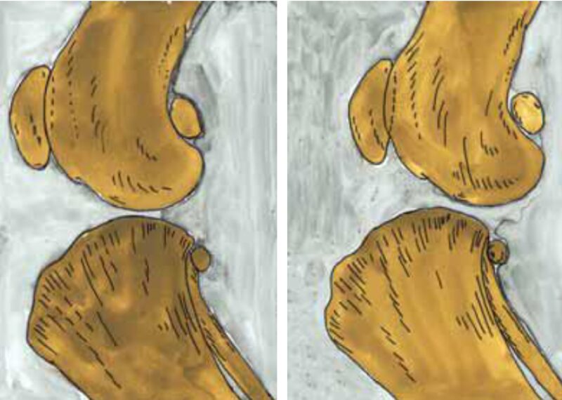 Bildschirmfoto 2026 02 06 um 15 22 26