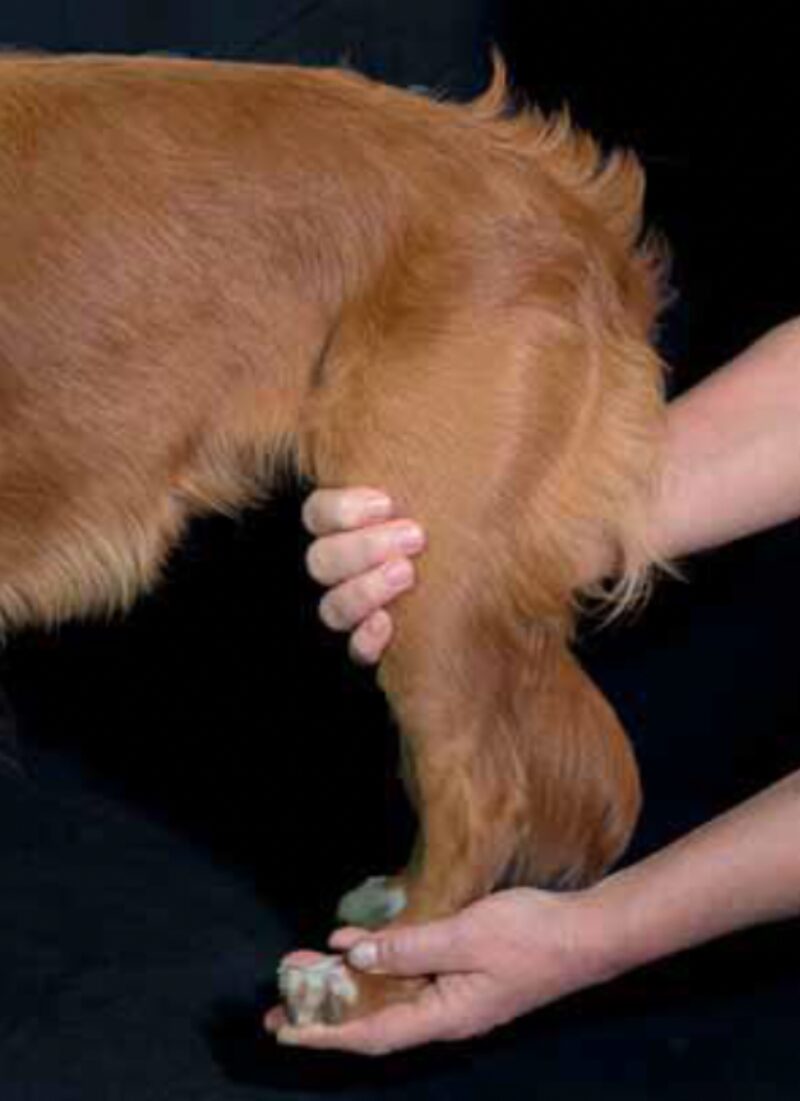 Bildschirmfoto 2026 02 06 um 15 24 05