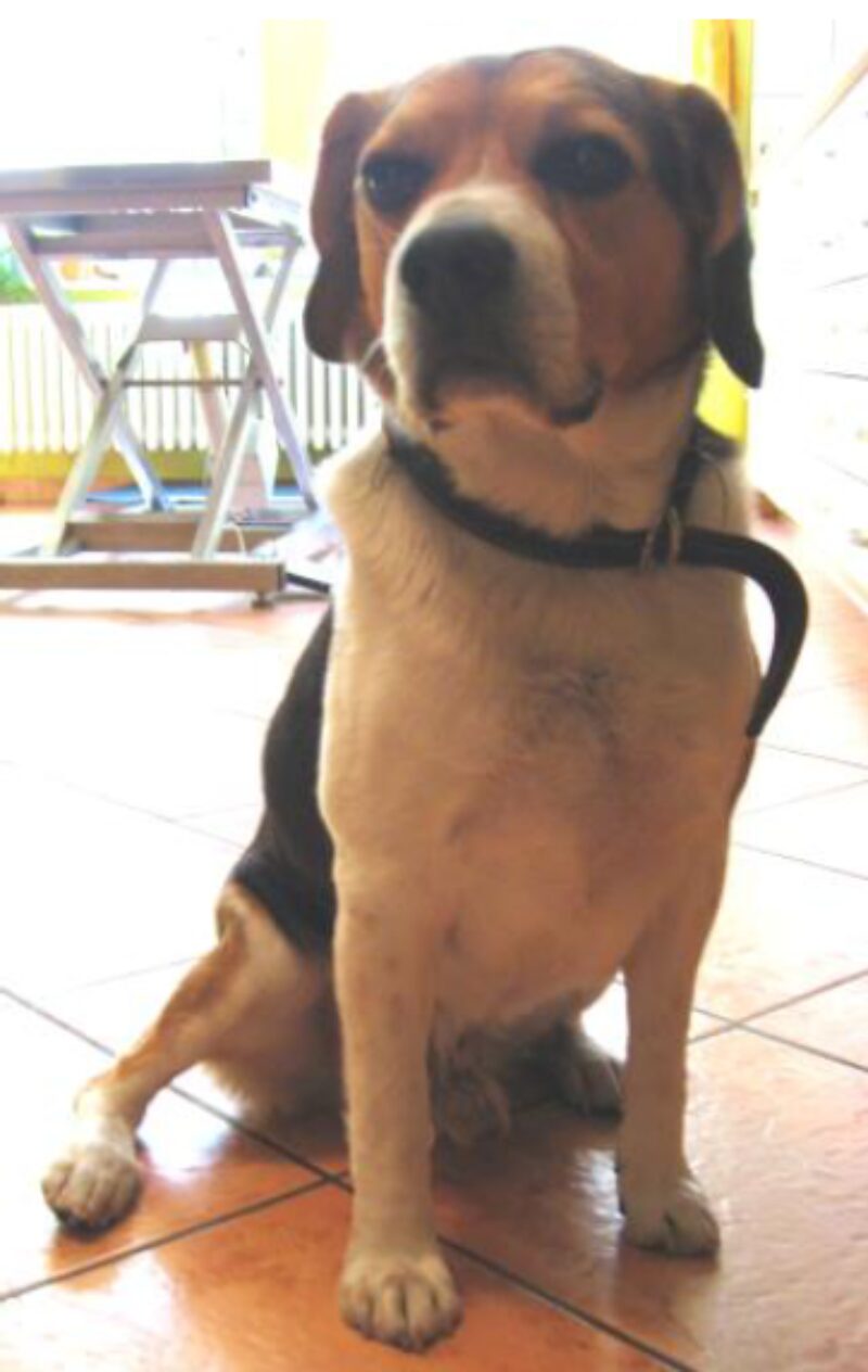 Bildschirmfoto 2026 02 06 um 15 24 44