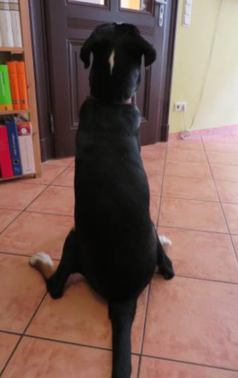 Bildschirmfoto 2026 02 06 um 15 25 21