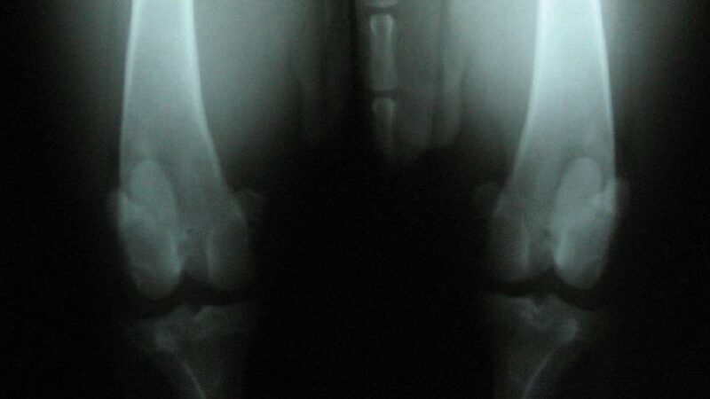 Bildschirmfoto 2026 02 06 um 15 25 51