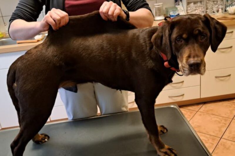 Bildschirmfoto 2026 02 06 um 15 26 35