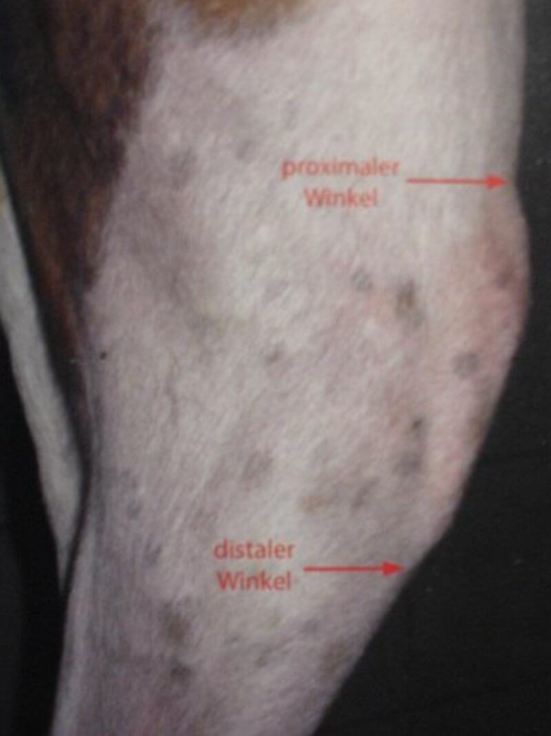 Bildschirmfoto 2026 02 06 um 15 27 38