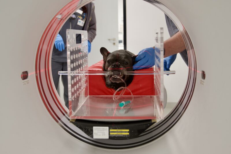 Bildschirmfoto 2026 02 08 um 16 23 59