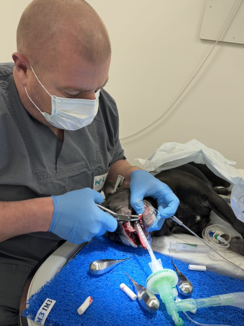 Bildschirmfoto 2026 02 08 um 16 24 39