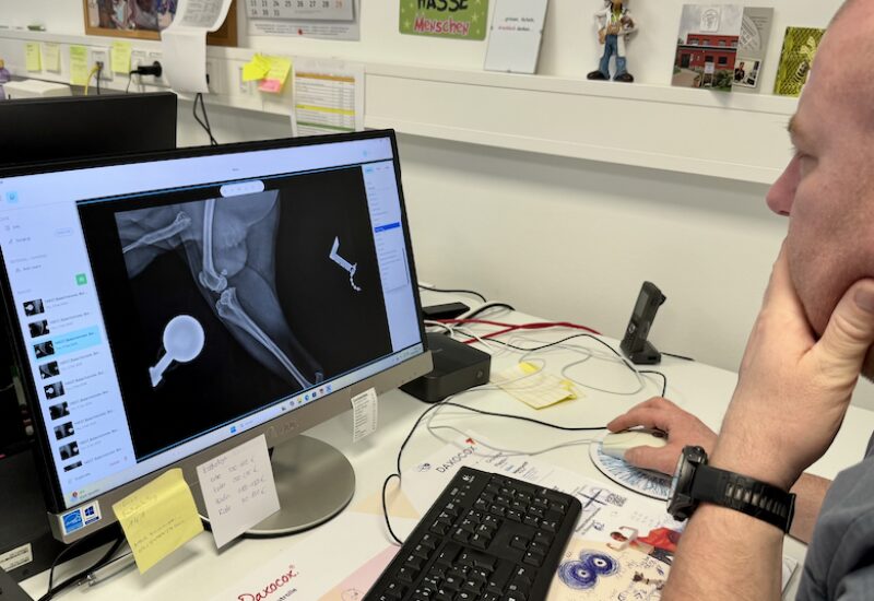 Bildschirmfoto 2026 02 08 um 16 26 23