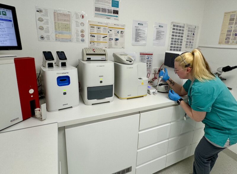 Bildschirmfoto 2026 02 08 um 16 26 43