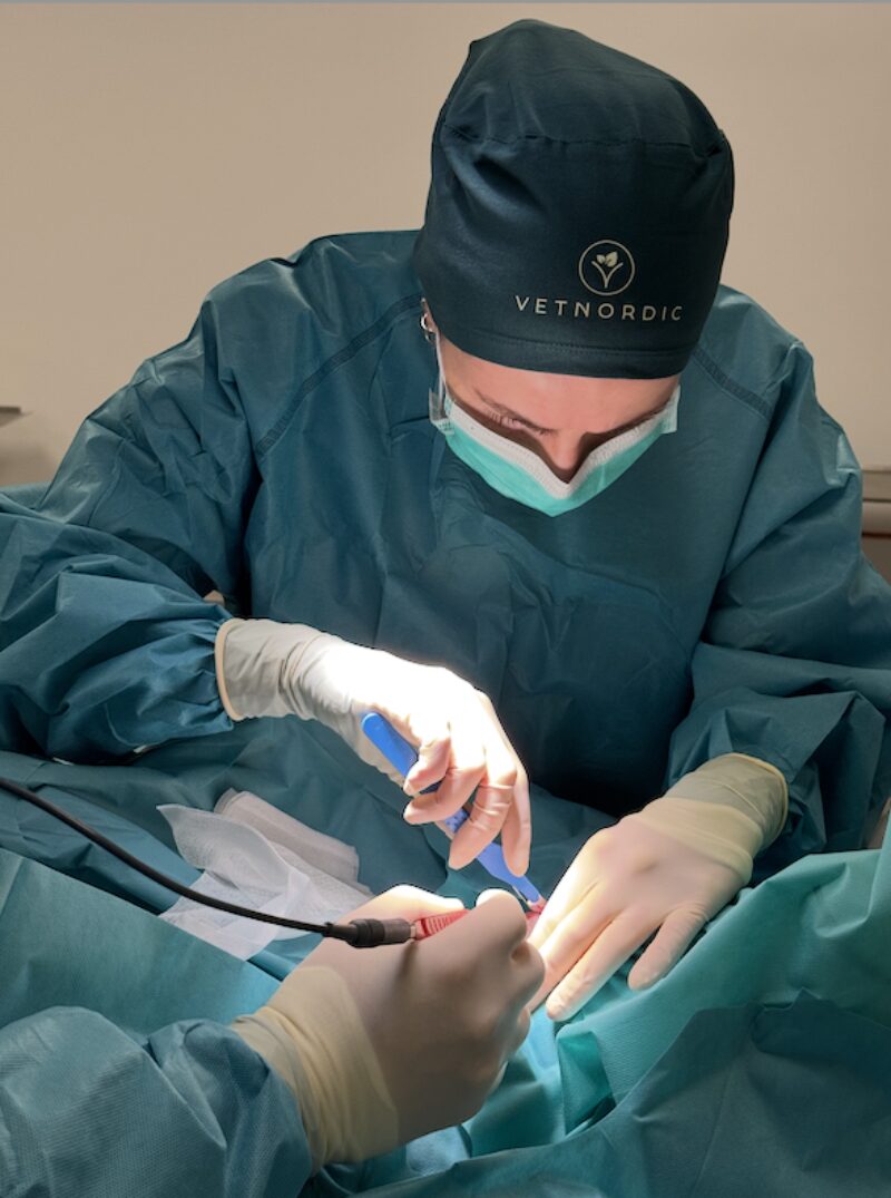 Bildschirmfoto 2026 02 08 um 16 27 44