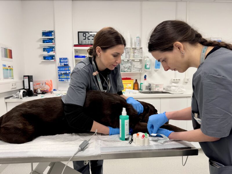 Bildschirmfoto 2026 02 08 um 16 28 04