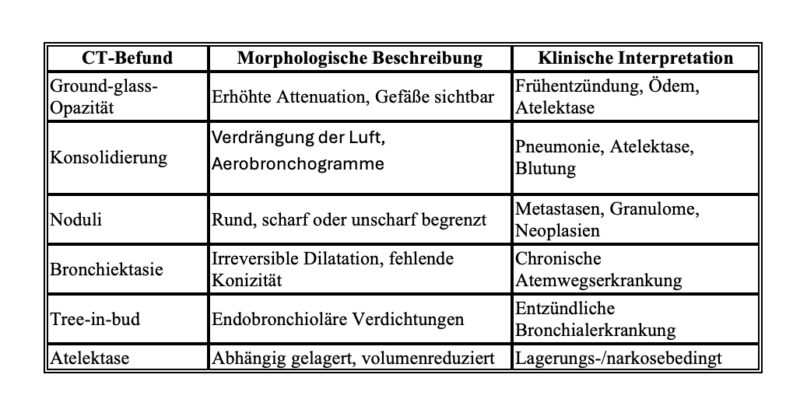 Bildschirmfoto 2026 02 09 um 06 32 30