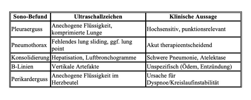 Bildschirmfoto 2026 02 09 um 06 33 26