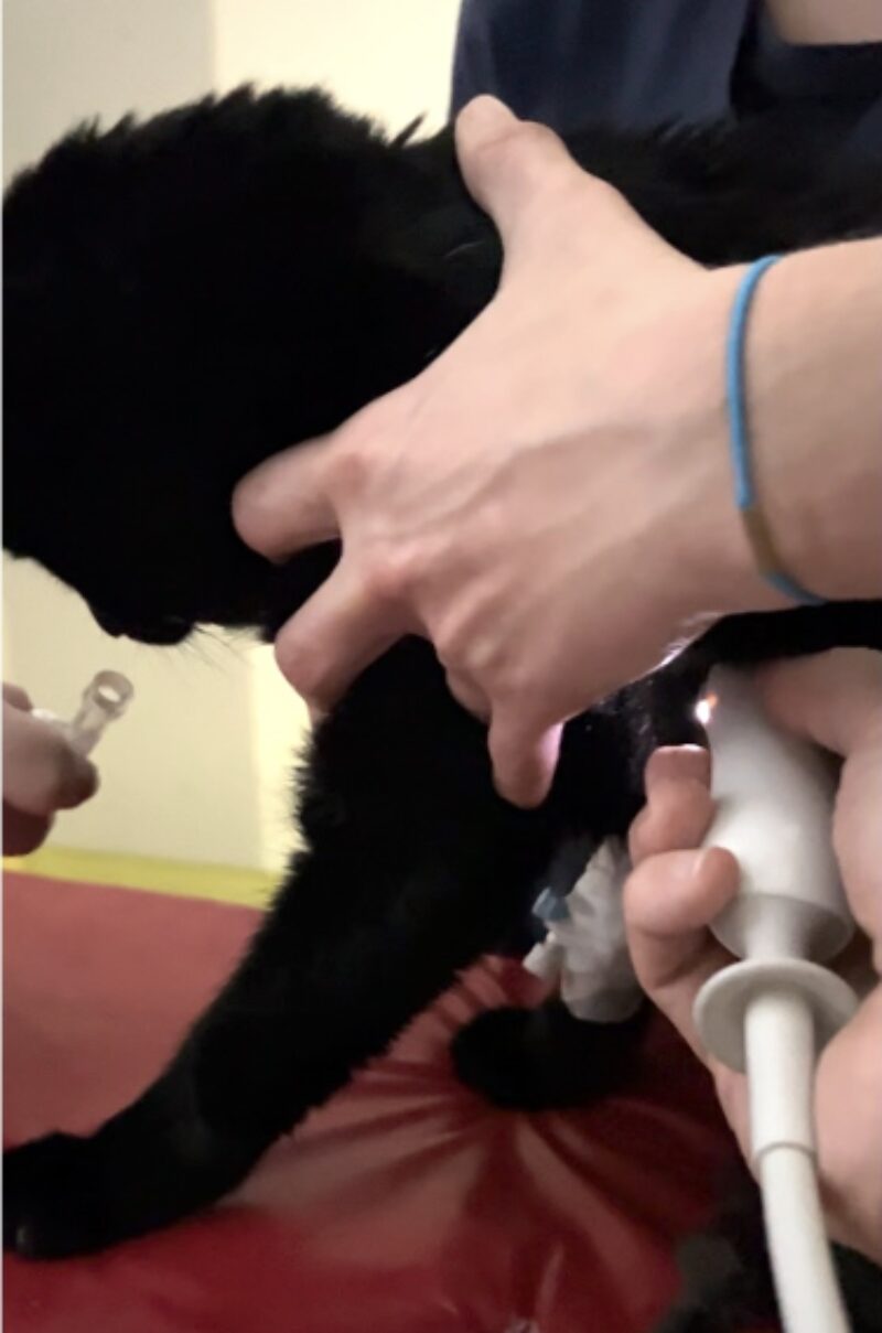 Bildschirmfoto 2026 02 09 um 06 36 00