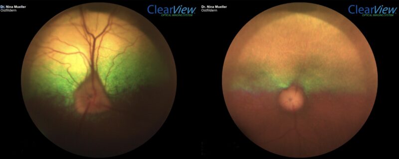 Bildschirmfoto 2026 02 09 um 09 18 32