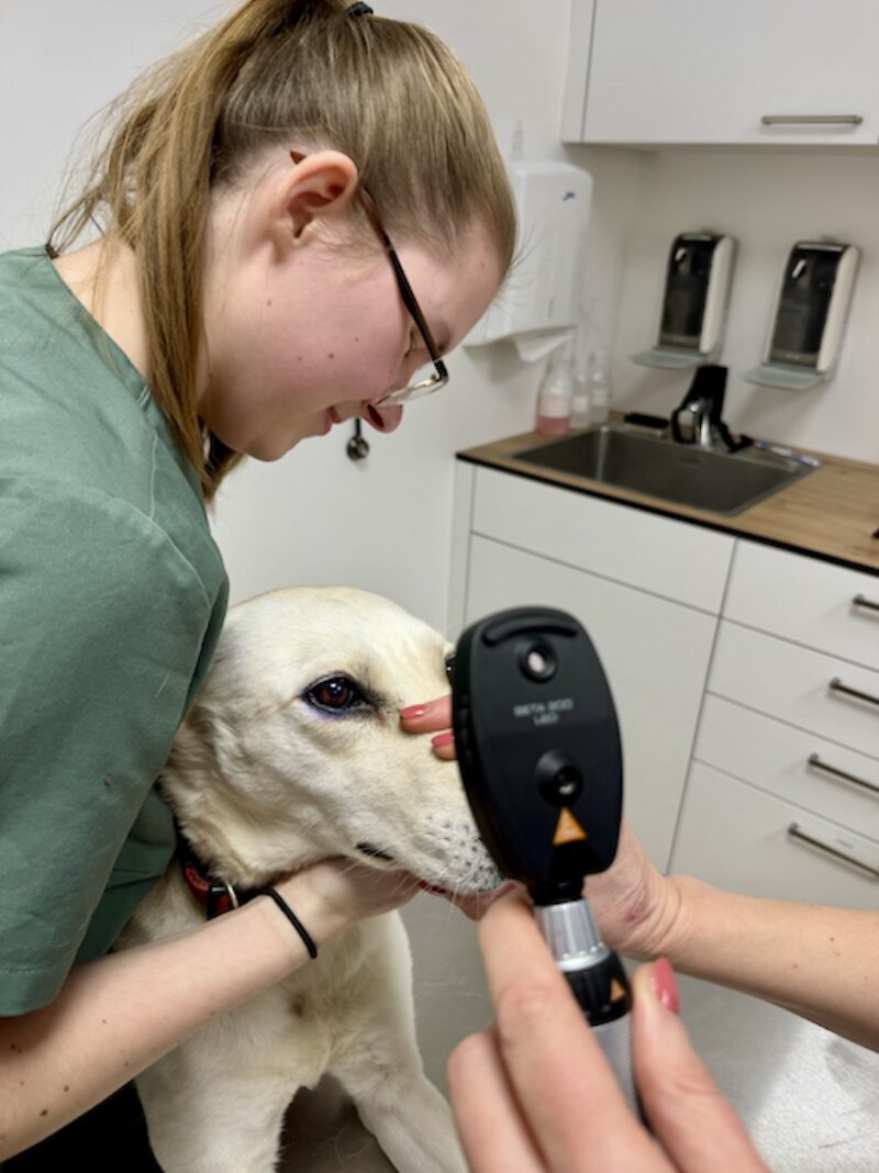 Bildschirmfoto 2026 02 09 um 18 02 17