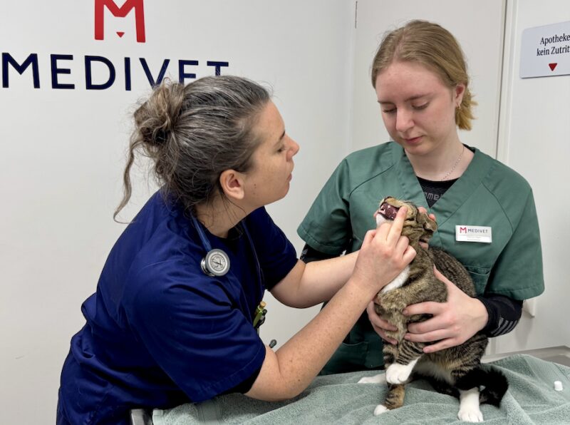 Bildschirmfoto 2026 02 09 um 18 01 39