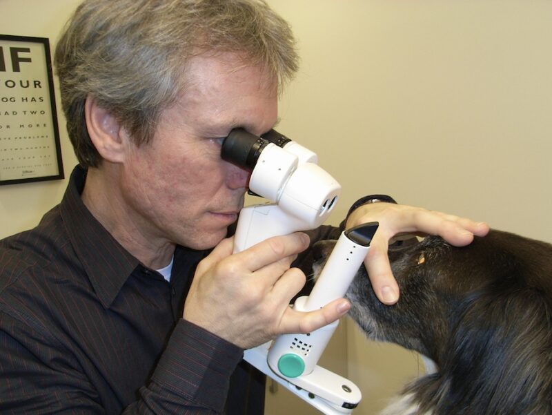 Bildschirmfoto 2026 02 16 um 20 14 49