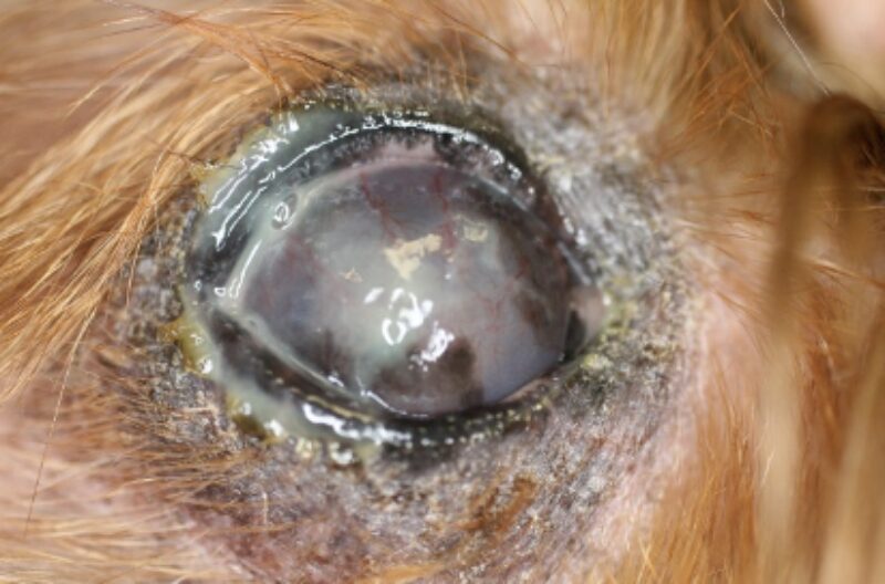 Bildschirmfoto 2026 02 17 um 00 08 10