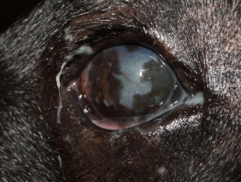 Bildschirmfoto 2026 02 17 um 00 08 21