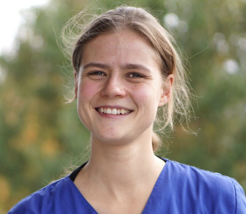 Bildschirmfoto 2026 02 17 um 09 38 16