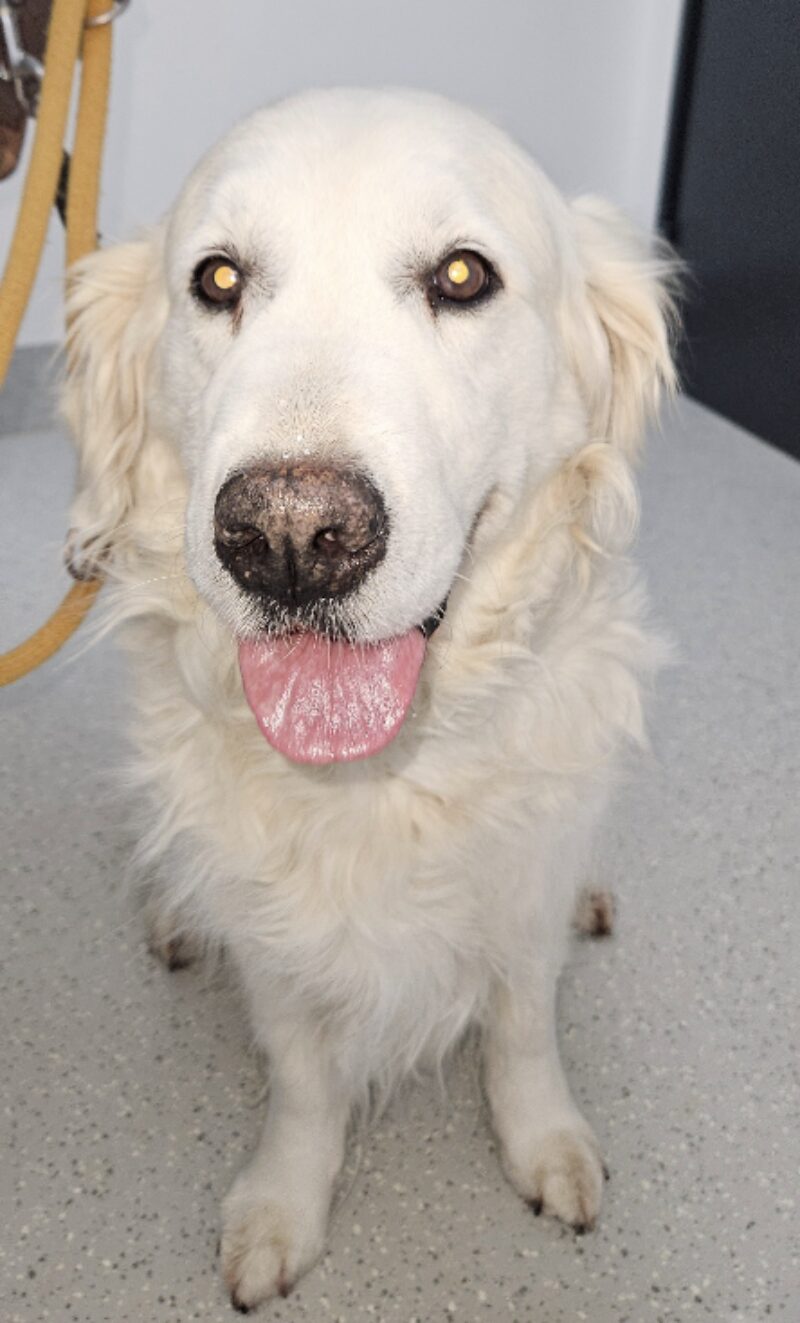 Bildschirmfoto 2026 02 17 um 10 27 51