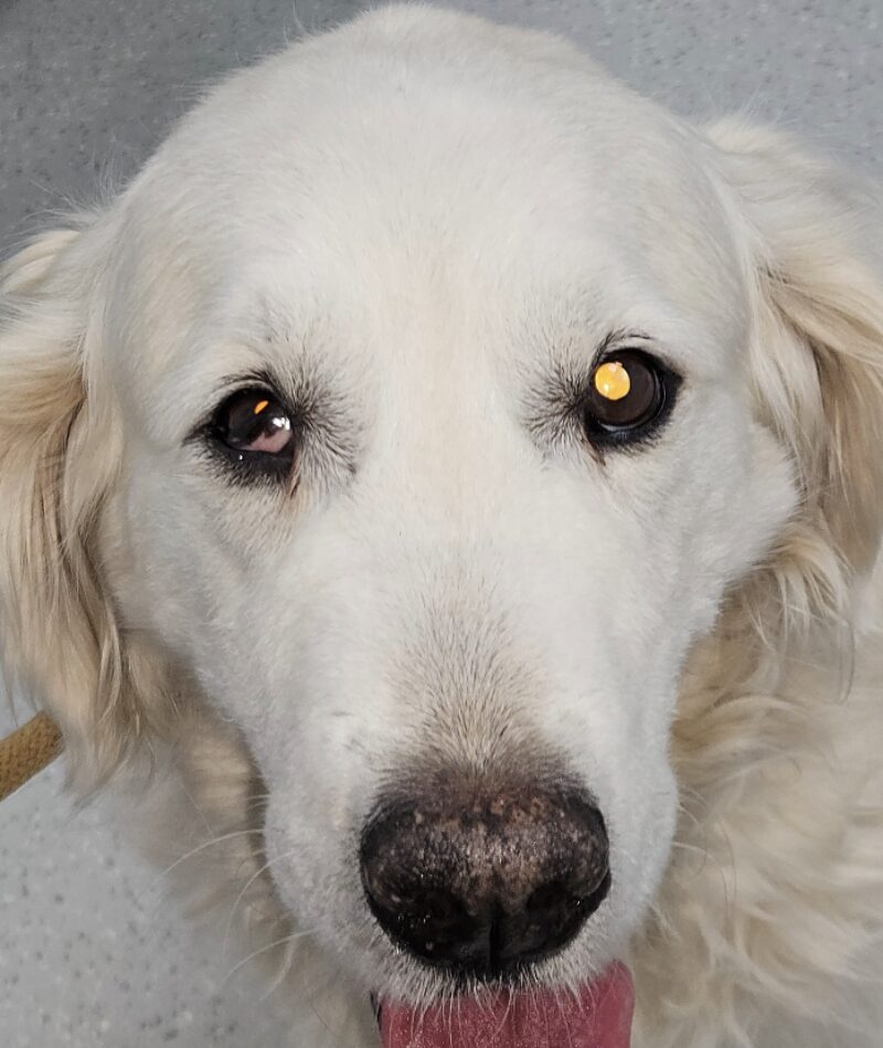 Bildschirmfoto 2026 02 17 um 10 28 47