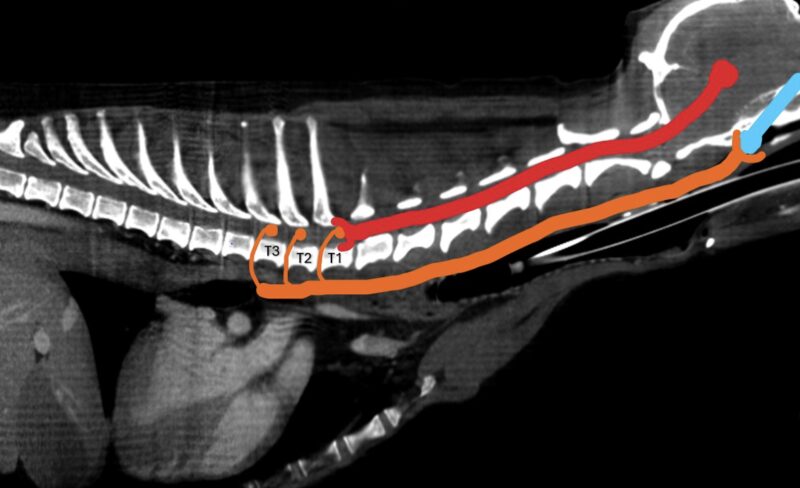 Bildschirmfoto 2026 02 17 um 10 30 32