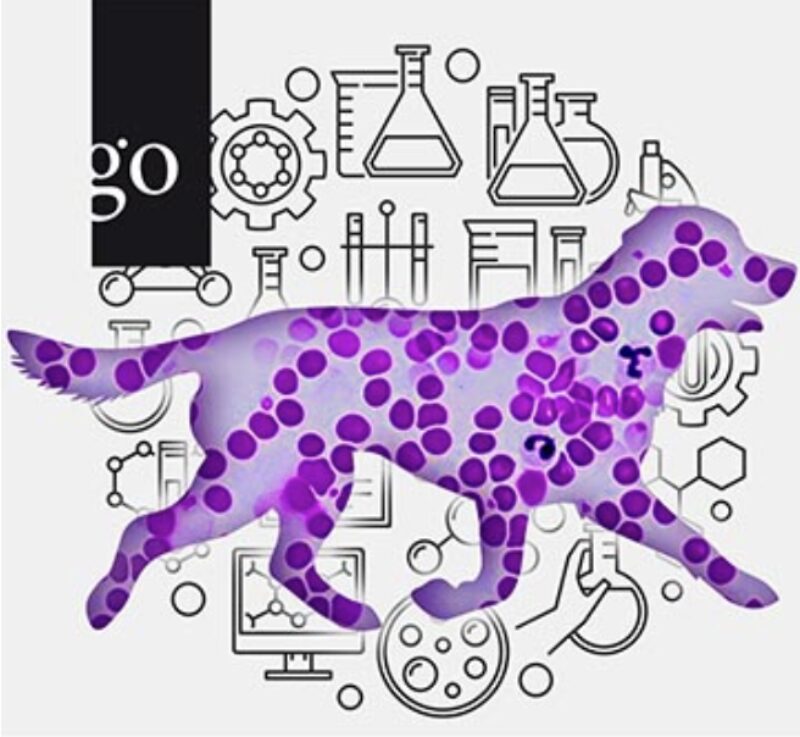 Bildschirmfoto 2026 02 18 um 13 34 39