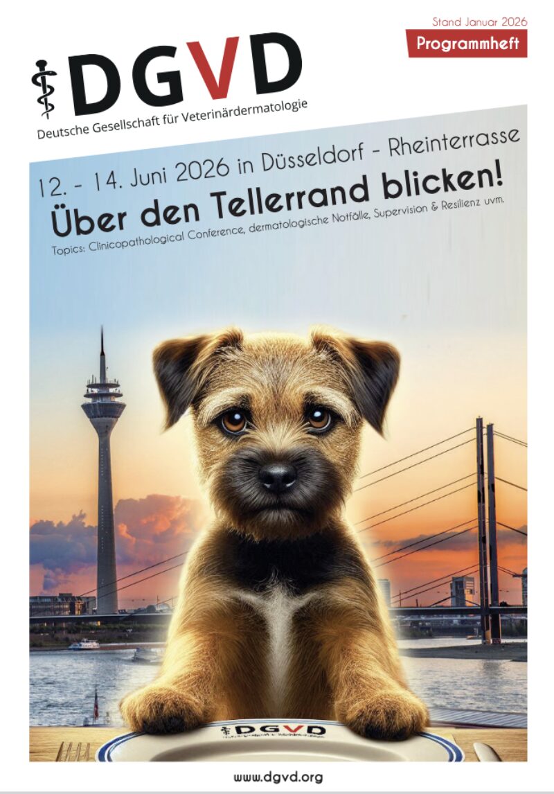 Bildschirmfoto 2026 02 19 um 09 35 22