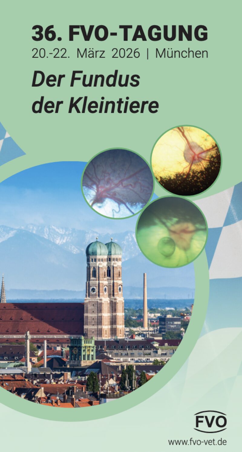 Bildschirmfoto 2026 02 23 um 15 14 13