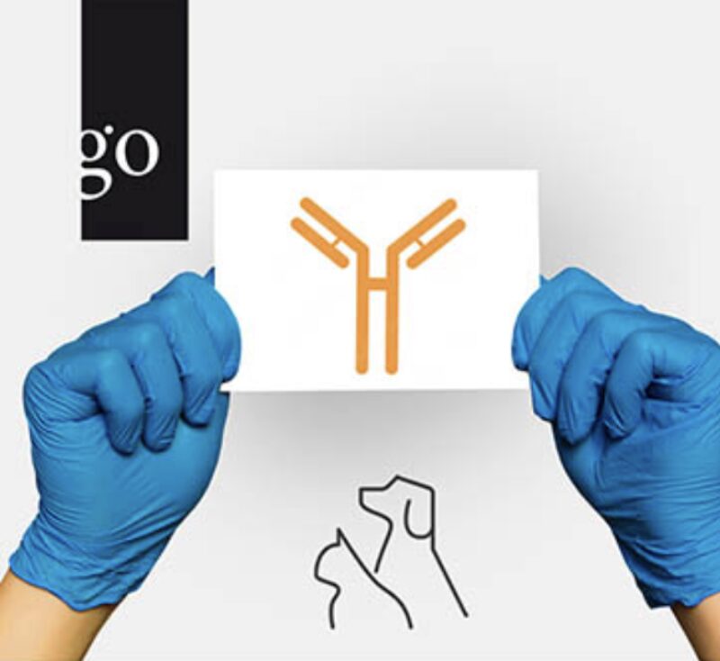 Bildschirmfoto 2026 02 23 um 21 53 54