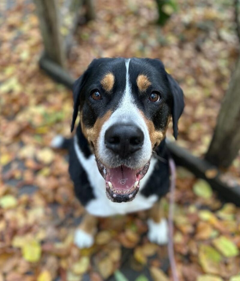 Bildschirmfoto 2026 02 23 um 22 02 01