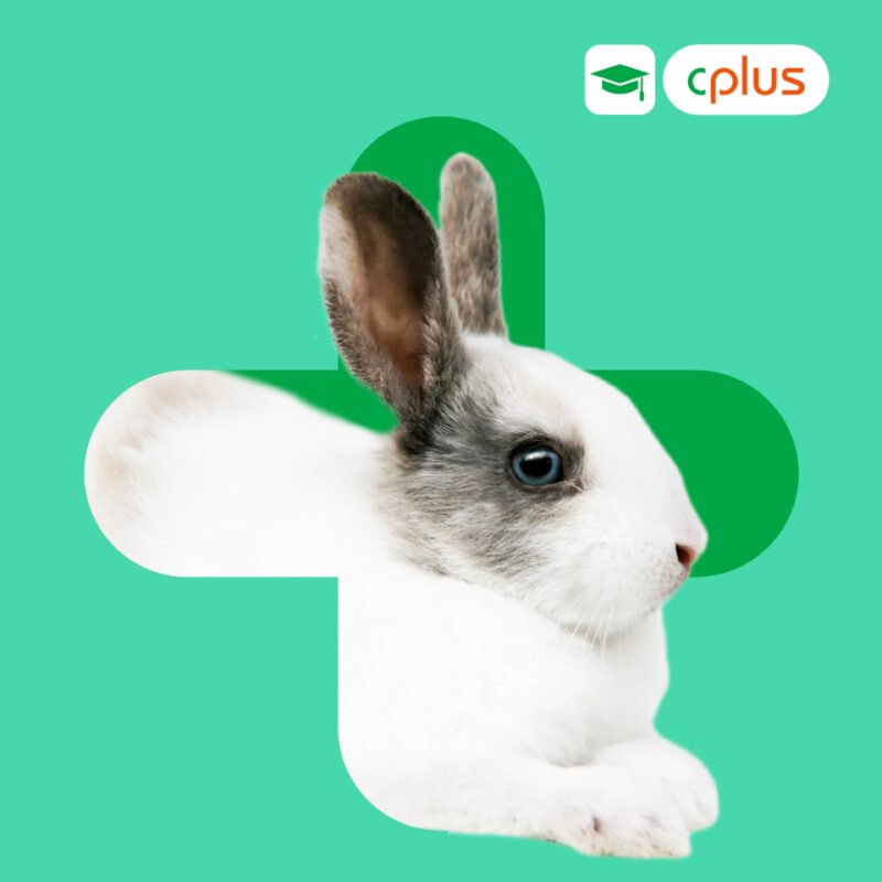 Produktbilder Kleintier Dh P MCP Heimtiere