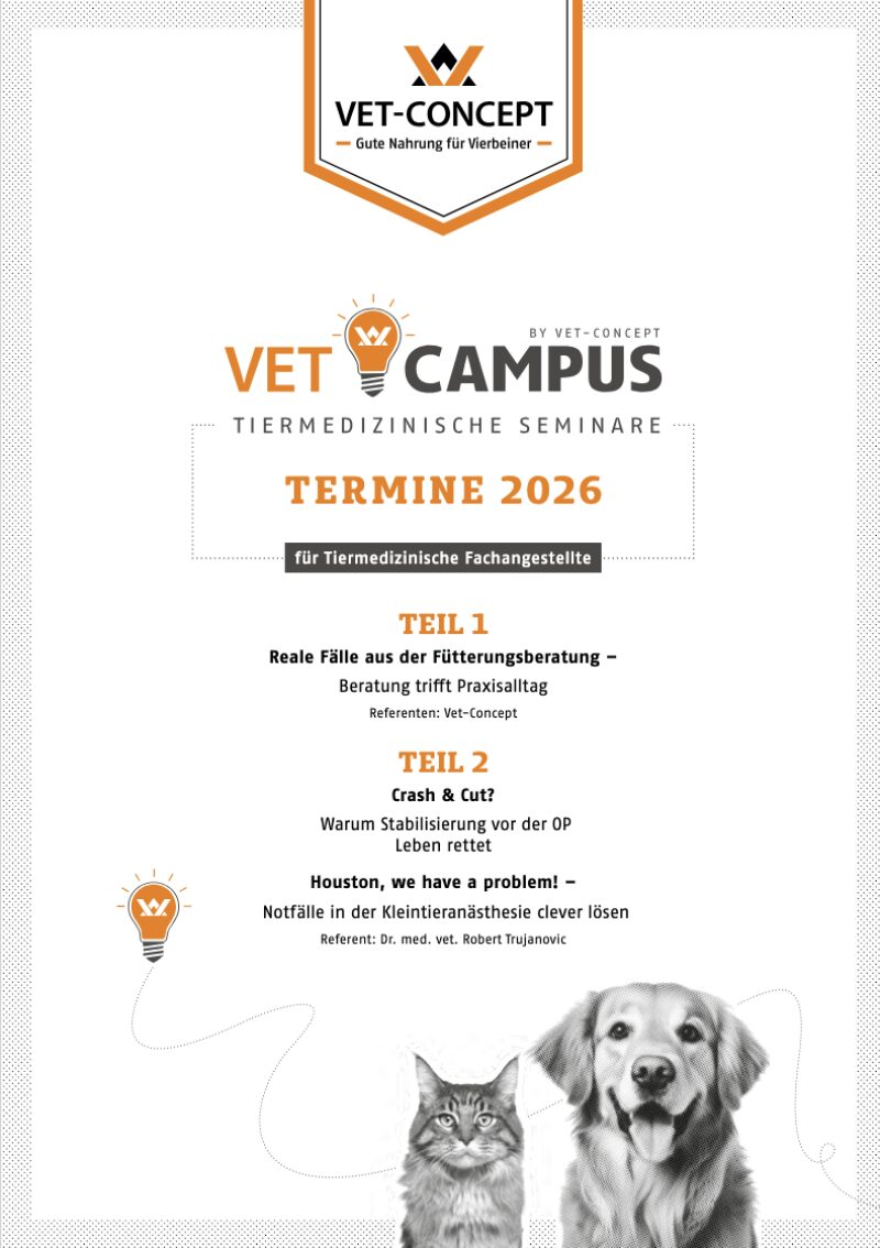 Bildschirmfoto 2026 02 24 um 17 59 16