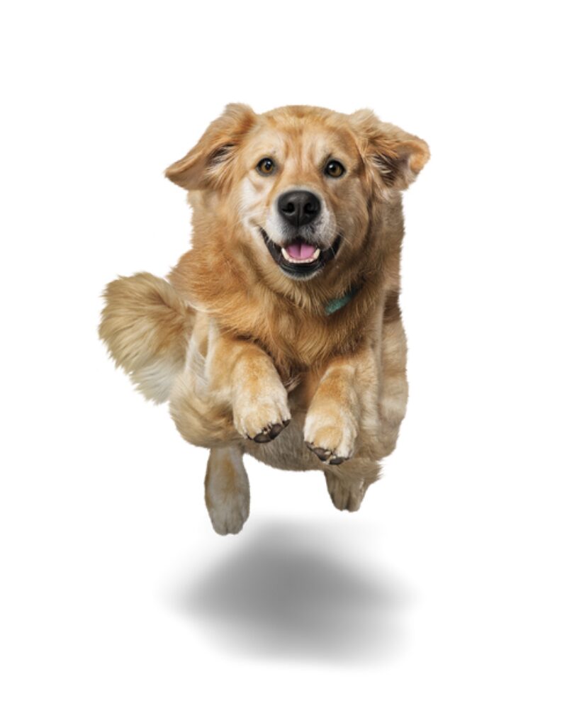 Bildschirmfoto 2026 03 04 um 09 54 22