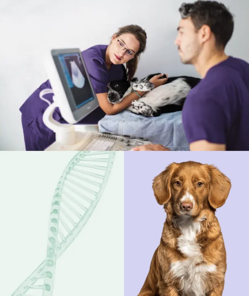 Bildschirmfoto 2026 03 05 um 09 53 46