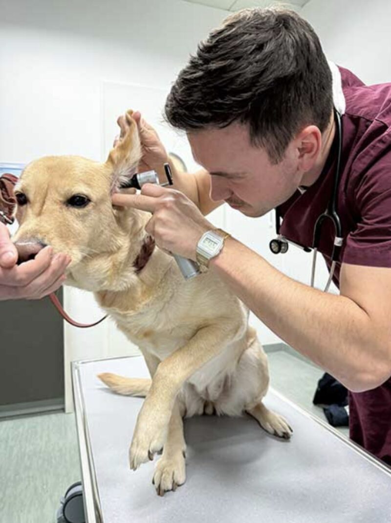 Bildschirmfoto 2026 03 06 um 10 55 01