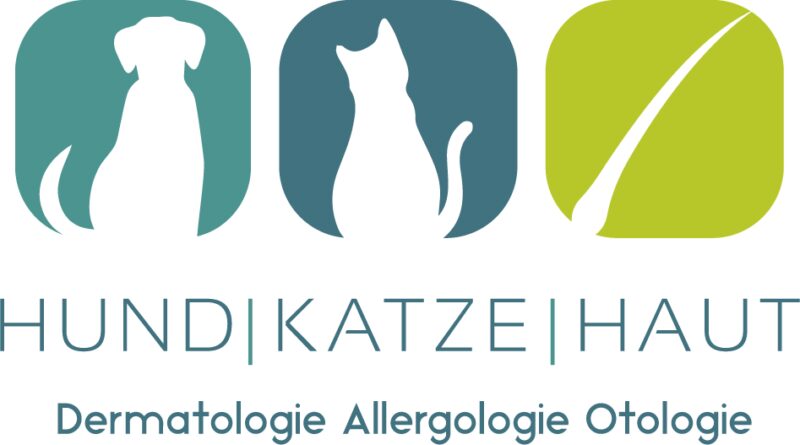 304897832 613275586922763 1216296269375993303 n