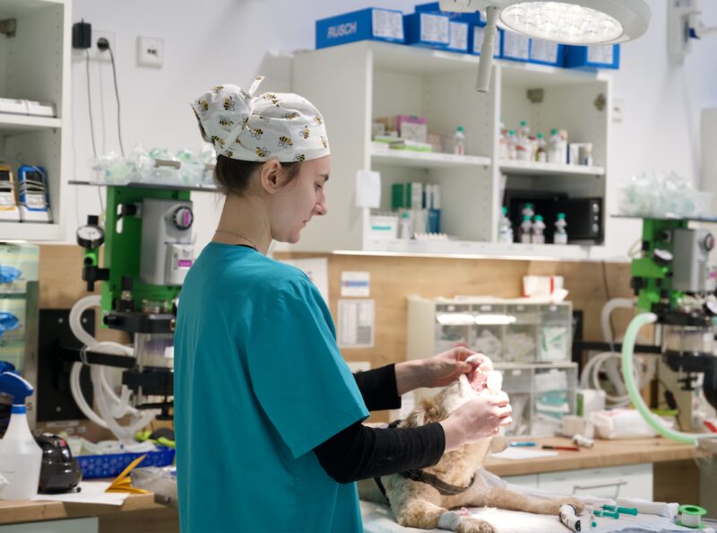 Bildschirmfoto 2026 03 08 um 16 33 18