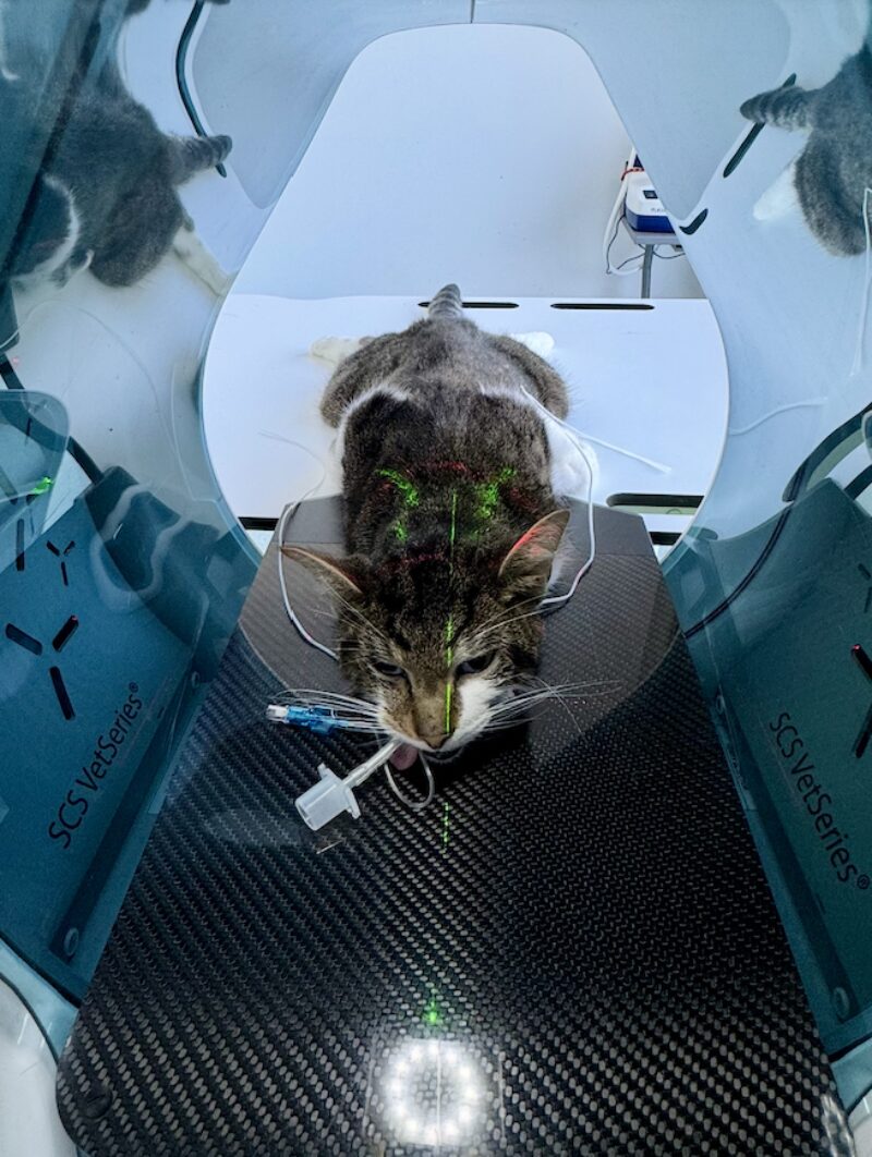 Bildschirmfoto 2026 03 08 um 16 36 56