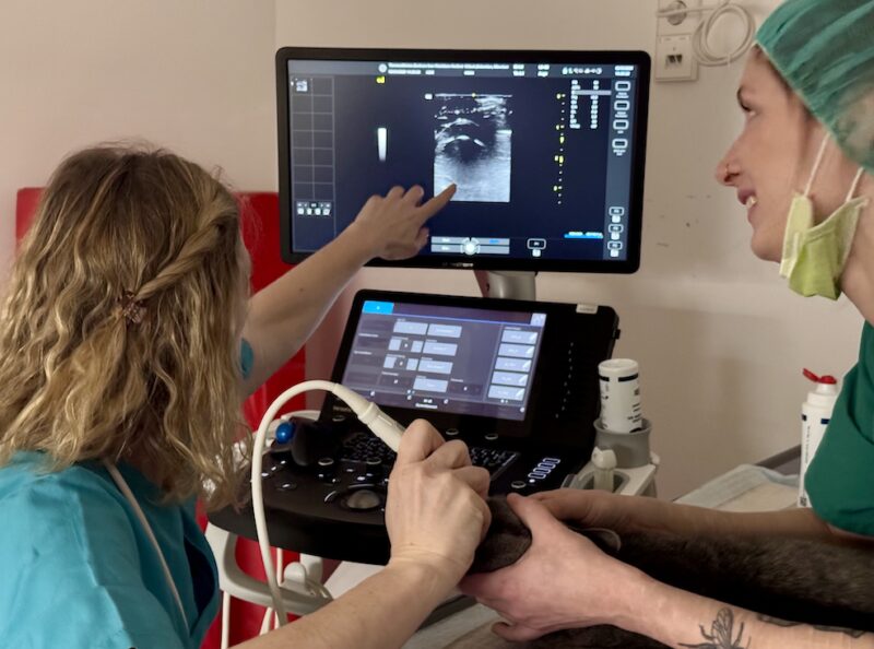 Bildschirmfoto 2026 03 08 um 16 37 15