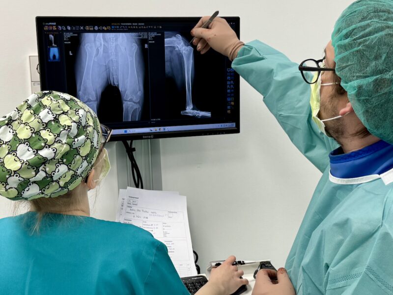 Bildschirmfoto 2026 03 08 um 16 38 17