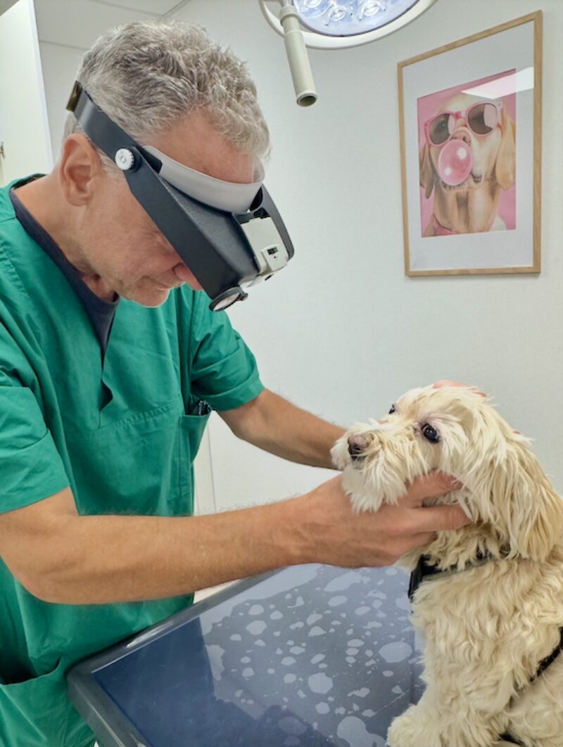 Bildschirmfoto 2026 03 08 um 17 05 43