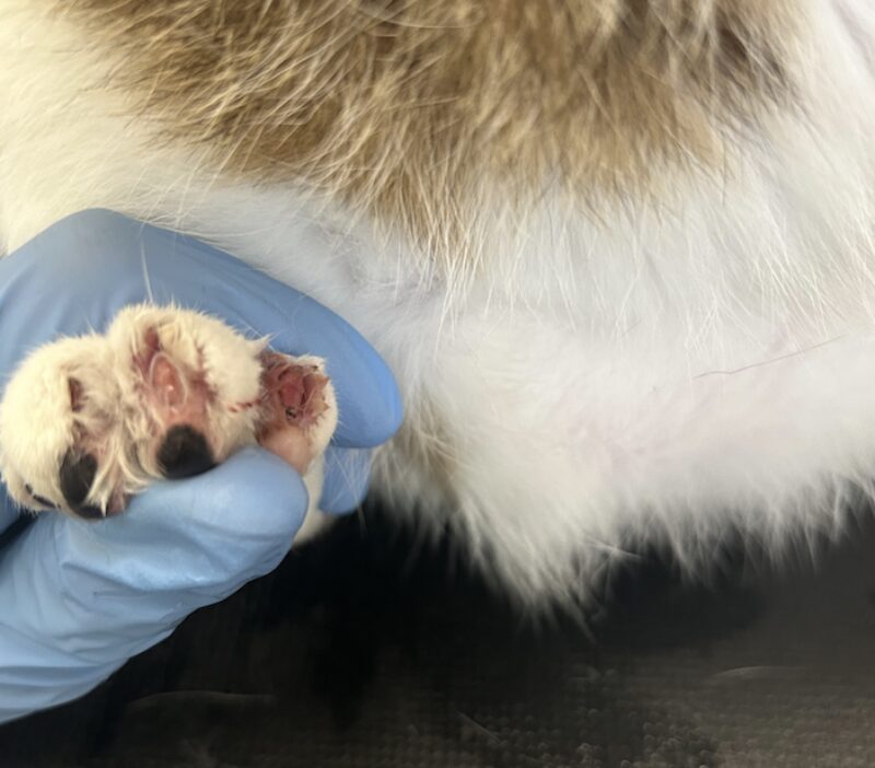 Bildschirmfoto 2026 03 10 um 16 27 28