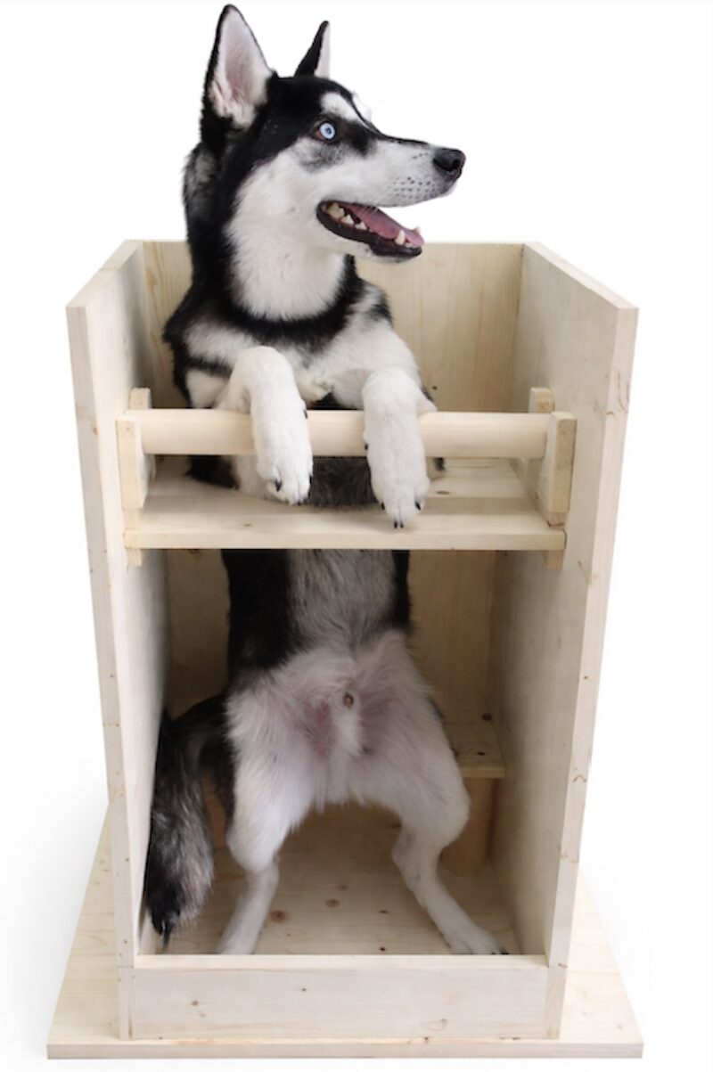 Bildschirmfoto 2026 03 12 um 08 20 08