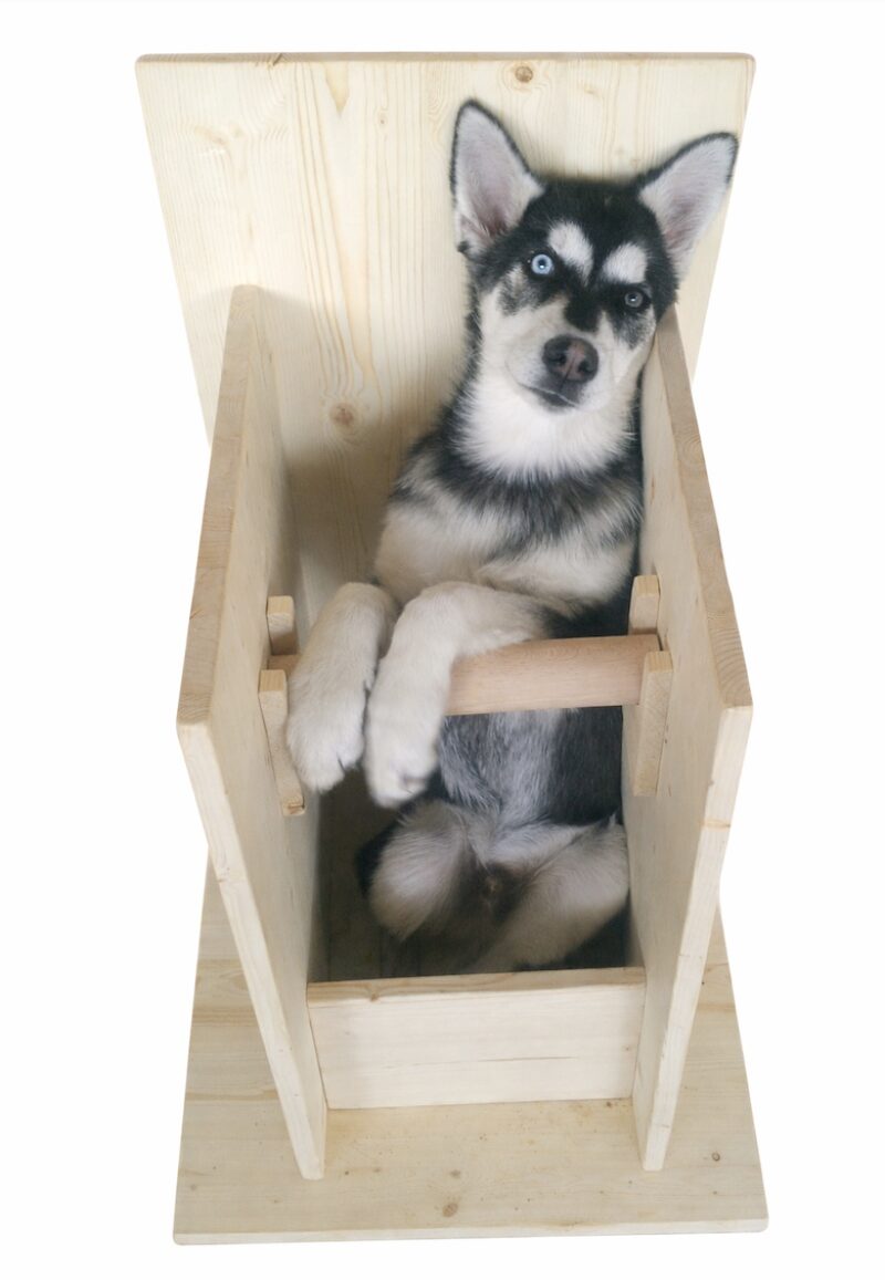 Bildschirmfoto 2026 03 12 um 08 20 22