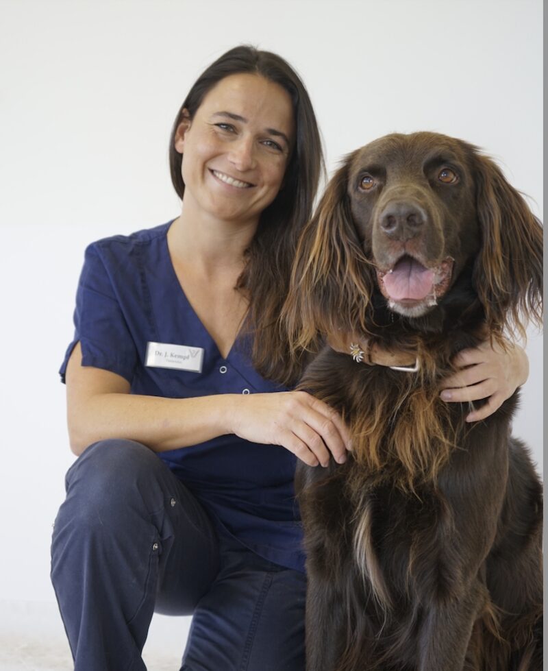 Bildschirmfoto 2026 03 12 um 08 28 08